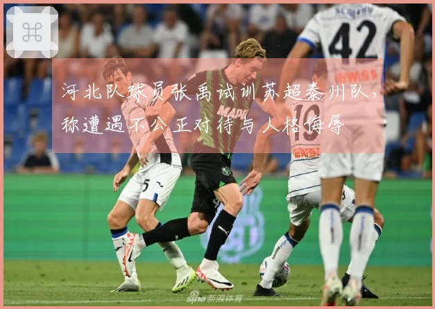 河北队球员张禹试训苏超泰州队，称遭遇不公正对待与人格侮辱