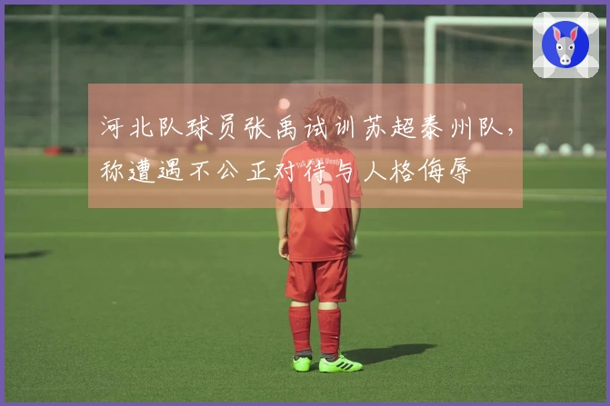 河北队球员张禹试训苏超泰州队，称遭遇不公正对待与人格侮辱