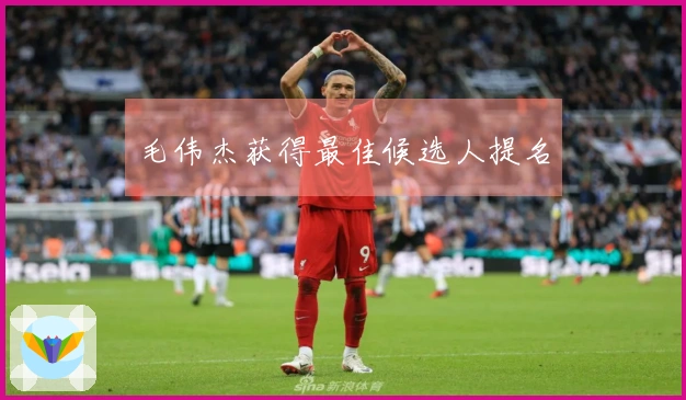 毛伟杰获得最佳候选人提名